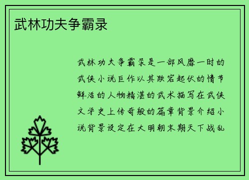 武林功夫争霸录